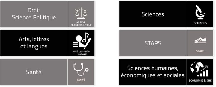 Guides thématiques des bibliothèques de l’Université de Saint-Étienne 