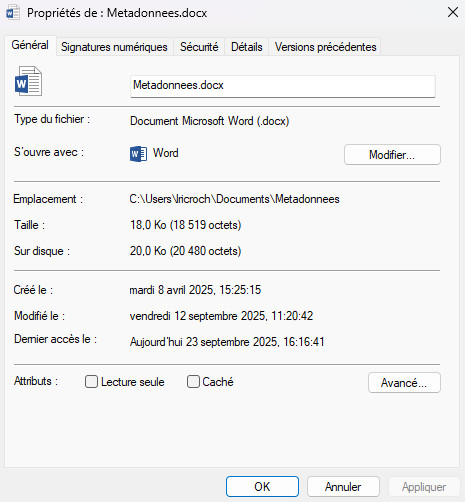 Capture d'écran des propriétés d'un document Word montrant quelques métadonnées (type, emplacement, taille, date de création)